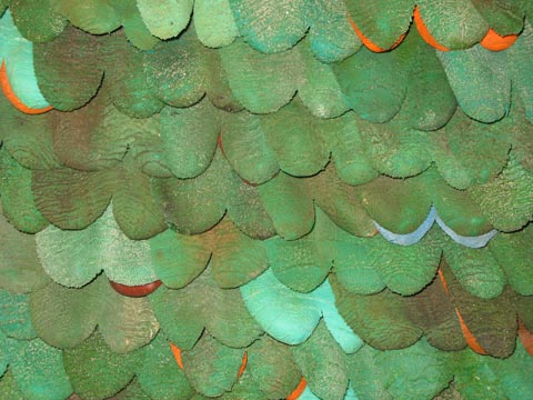 Detail Groene vingers