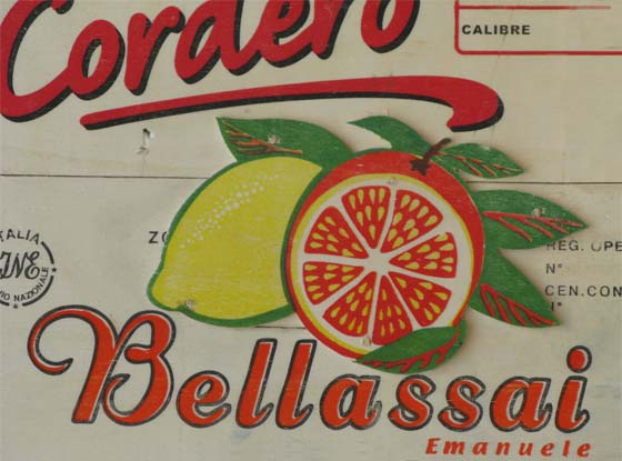 Recycle kunst - Detail Geef ons dagelijks groenten en fruit paneel 3