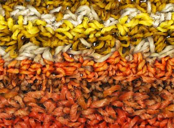 Recycle kunst - Detail Zoute Tulpen Recycle kunst - Detail Zoute Tulpen