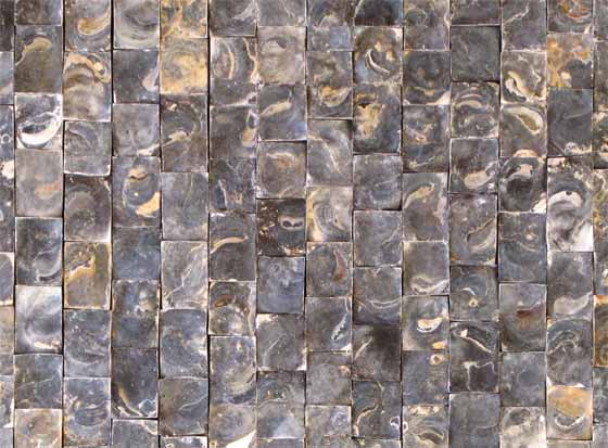 Recycle kunst - Detail ZPO (zwarte platte oester)