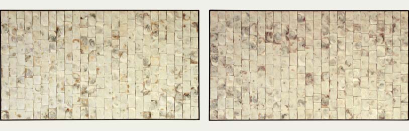 Recycle kunst - Witte Oester